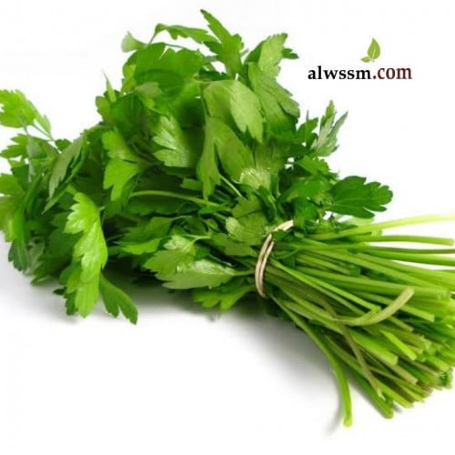 بذور الكزبرة (Coriandrum sativum)