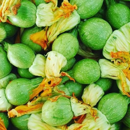 بذور كوسا مدورة اف ون ( Cucurbita pepo )