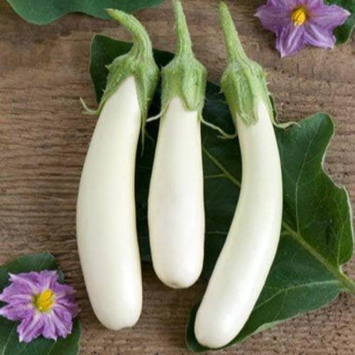 بذور باذنجان أبيض طويل ( Solanum melongena )