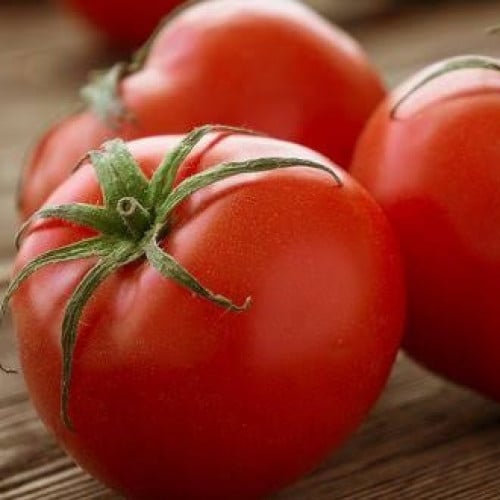 بذور طماطم ( Solanum lycopersicum )