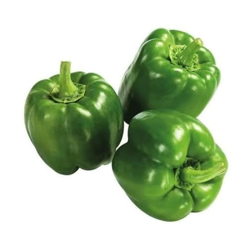 بذور فلفل رومي أخضر - بارد ( CAPSICUM ANNUUM )
