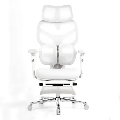 480 - Neo Model Gamer and Mesh works Chair