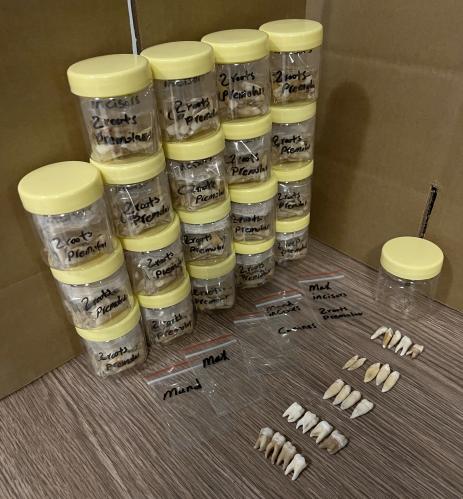 Order separation (1 box per person)