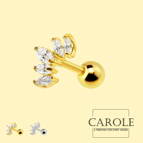 تيجان (طبي ستيل)