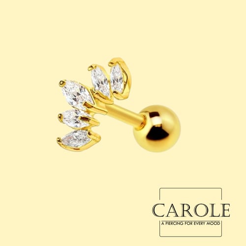 تيجان (طبي ستيل)