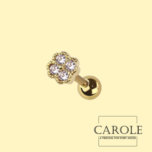 بيلسان (طبي ستيل)