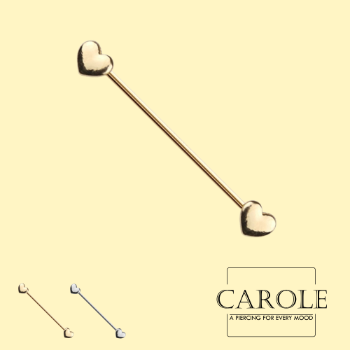 قلبين إندستريل (طبي ستيل)