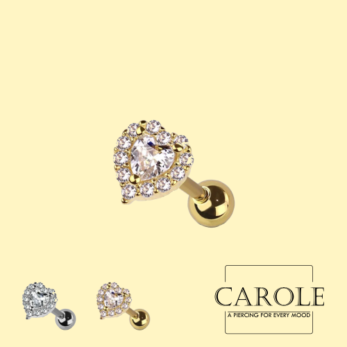 قلب (طبي ستيل)