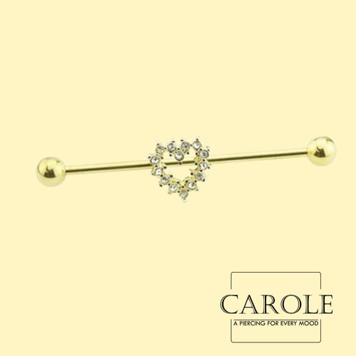 قلب إندستريل (طبي ستيل)