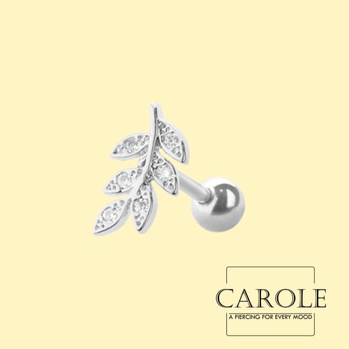 تونكا (طبي ستيل)