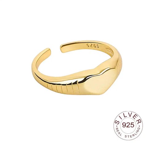 خاتم فضة عيار 925