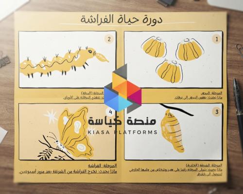 دورة حياة الفراشة -علوم -ثاني