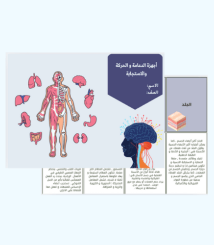 مطوية فصل أجهزة الدعامة و الحركة والاستجابة - ثاني...