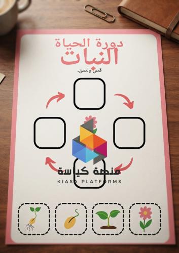 نشاط دورة حياة النبتة - علوم