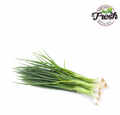 بصل أخضر