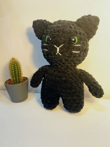 Black Cat