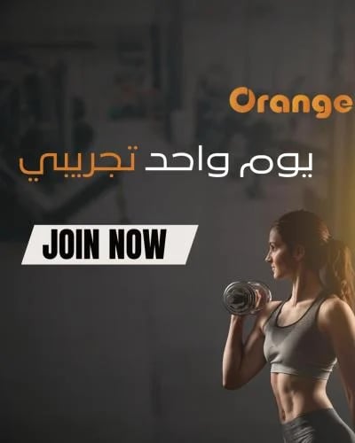 دخول يوم واحد