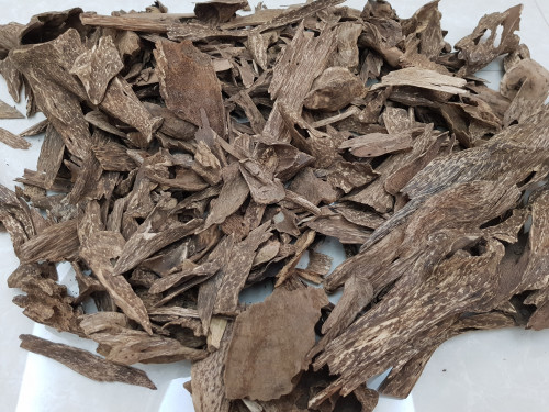 عود جنوب تايلند