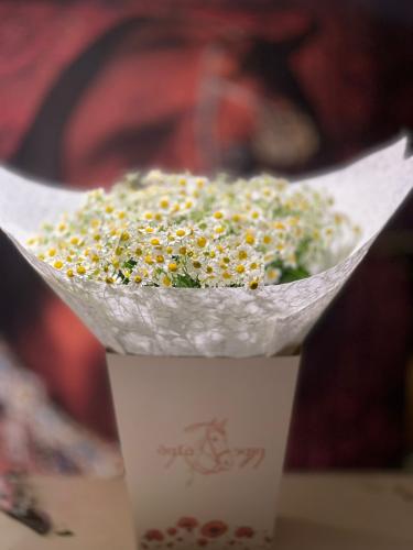 باقه أقحوان