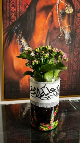 فازه نبته كلانشو