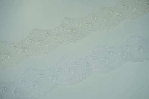 دانتيل مقوس