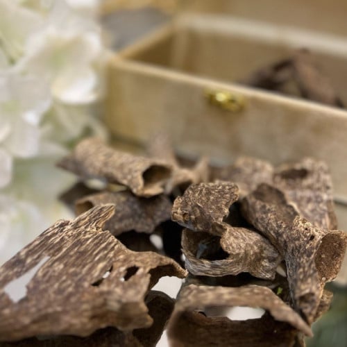 عود فيتنامي كنق طبيعي