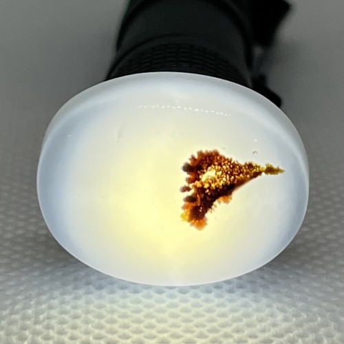 عقيق يماني مصور ( طير ) نادر