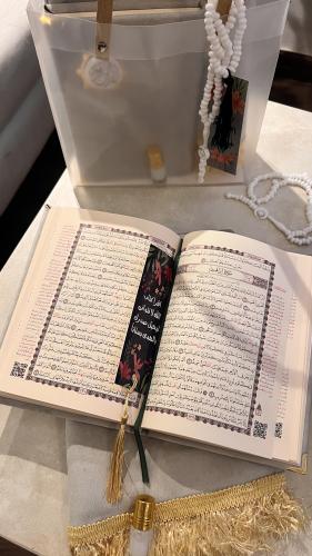 البكج المخملي