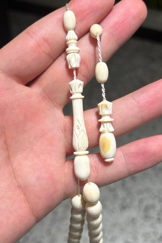 عاج ناب الفيل