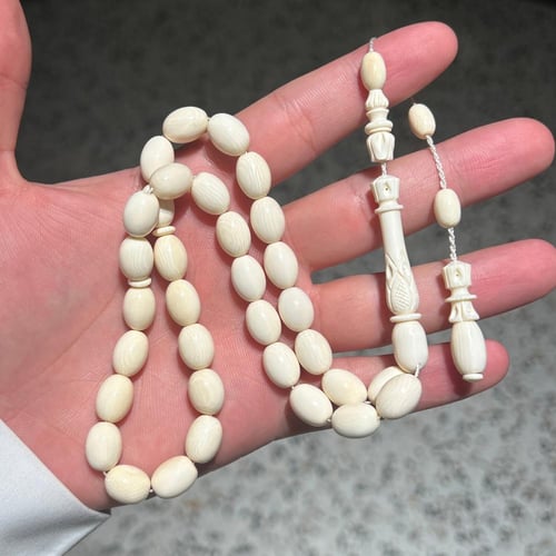 عاج ناب الفيل