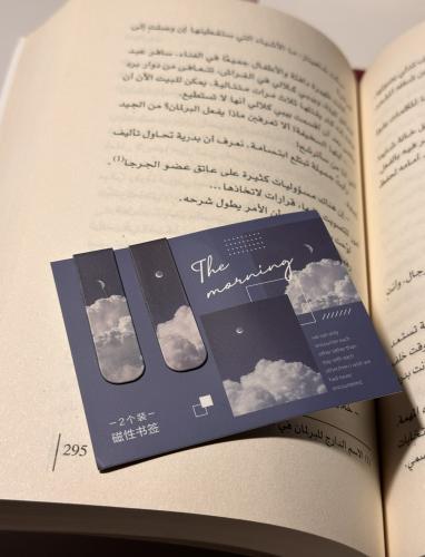 فاصل مغناطيسي