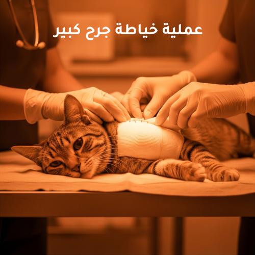 عملية خياطة جرح كبير
