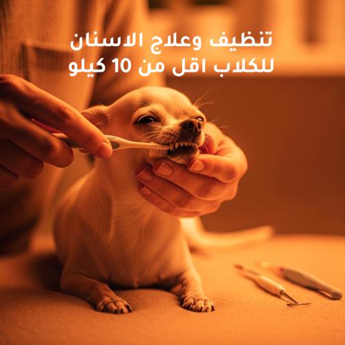 تنظيف وعلاج الاسنان للكلاب اقل من 10 كيلو