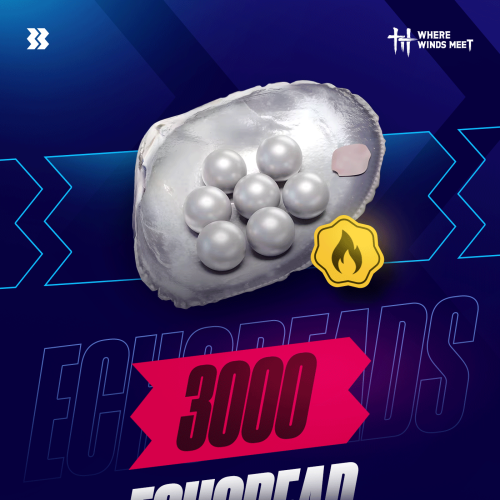 3000 ايكو بيدز Where Winds Meet