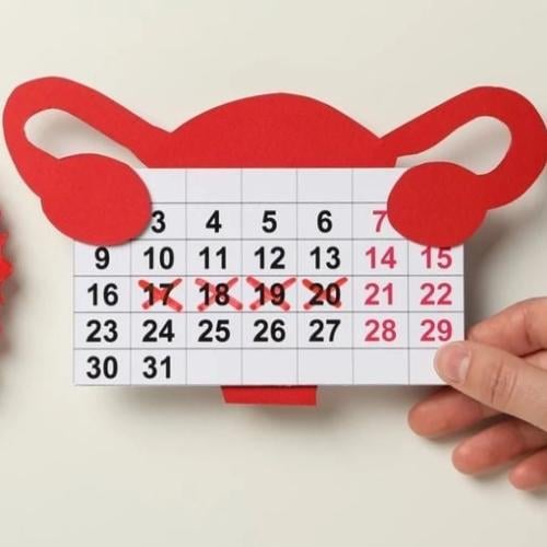 متابعة التبويض