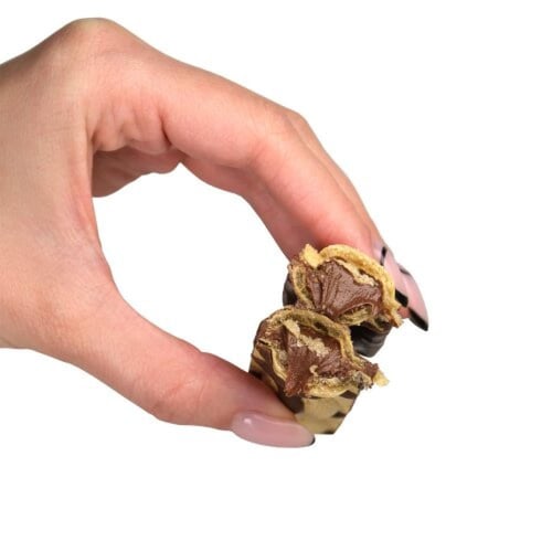 سناك فابريك سناك ويل ويفر - SNAQ FABRIQ SNAQ WELL...