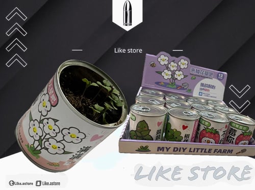 علب زراعة عشوائي