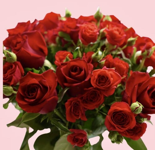 ورود حمراء وكيكة اني داني كيكة الصغيرة