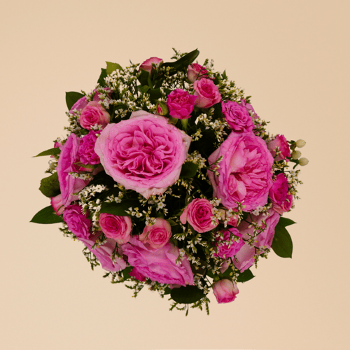 شمس الاحتفال ورد بيبي و ورد ورديه