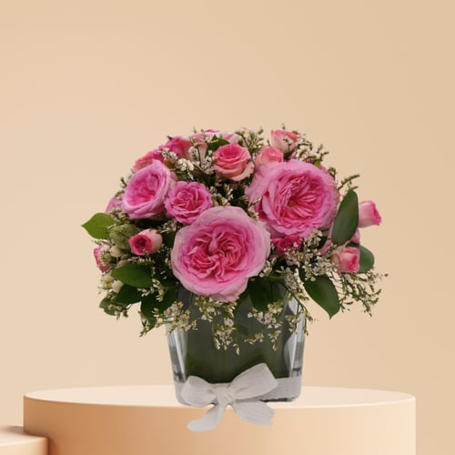 شمس الاحتفال ورد بيبي و ورد ورديه