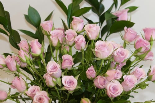 باقة بيبي روز وردية في مزهرية أنيقة