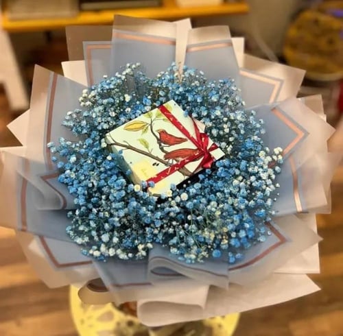 هدوء الأزرق : جبسوفيليا زرقاء وشوكلاتة بلجيكا أنوش