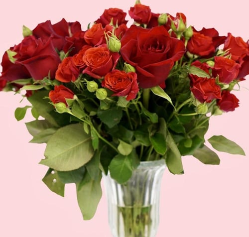 ورود حمراء وكيكة اني داني كيكة الصغيرة