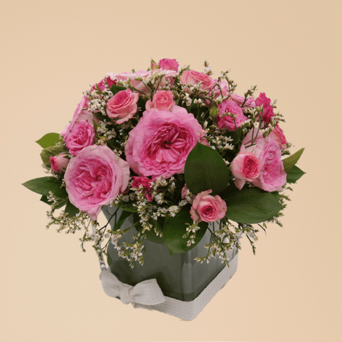 شمس الاحتفال ورد بيبي و ورد ورديه