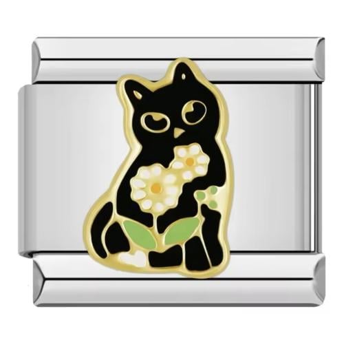 Black cat- قطه سوداء