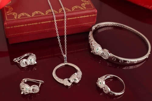 طقم اكسسوار كارتير معى تغليف الماركه