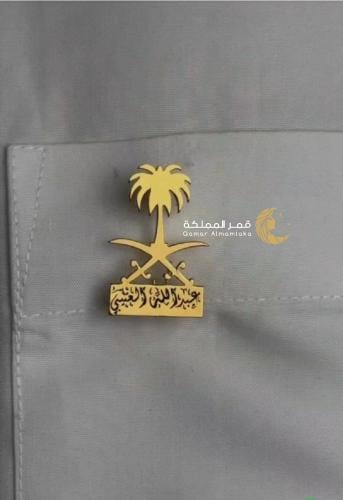 الأكثر فخامة بروش سيفين ونخلة