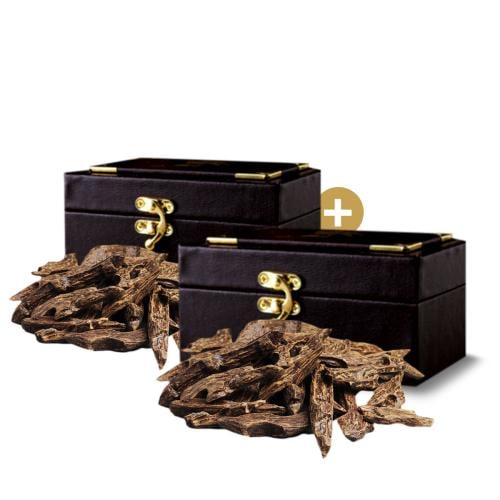 عود كلمنتان سنافي 56 جرام 1+1 مجانا