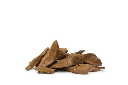 عود المطانيخ