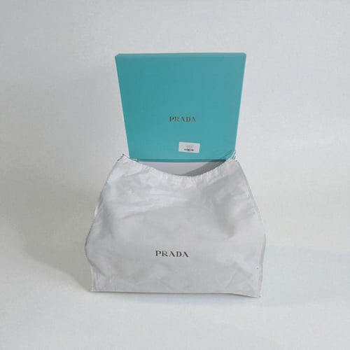 حقيبة برادا سنيك م2